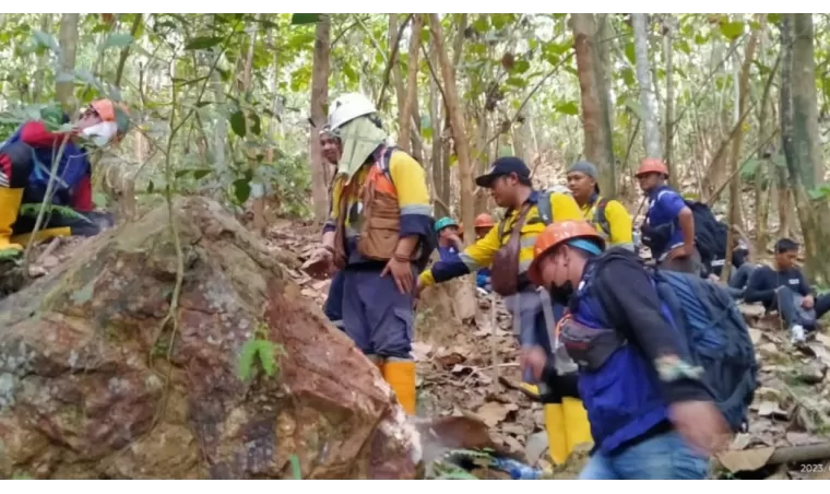 Survei geologi adalah